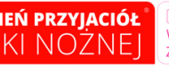 Wielki Mecz Przyjaciół Piłki Nożnej